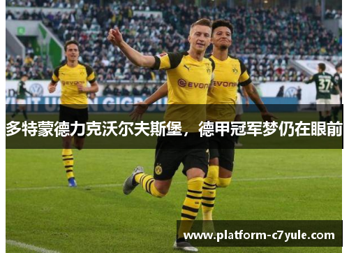 多特蒙德力克沃尔夫斯堡，德甲冠军梦仍在眼前
