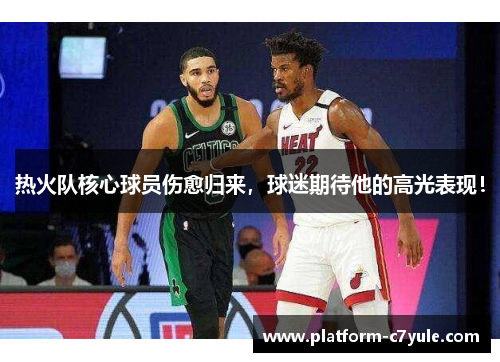 热火队核心球员伤愈归来，球迷期待他的高光表现！
