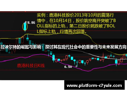 拉波尔特的崛起与影响：探讨其在现代社会中的重要性与未来发展方向