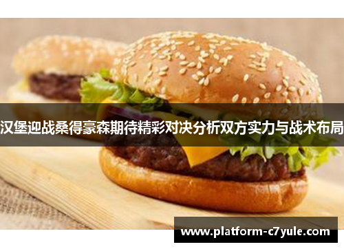 汉堡迎战桑得豪森期待精彩对决分析双方实力与战术布局